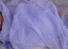 DSC 1013